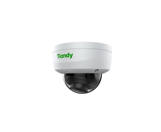 Tiandy 2Мп уличная купольная IP-камера 2,8мм 512Гб слот SD, audio I/O 1/1, alarm I/O 1/1